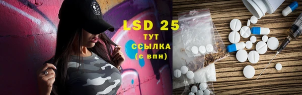 индика Балахна