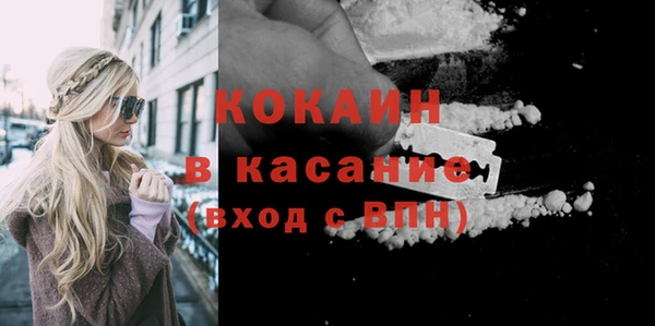 индика Балахна