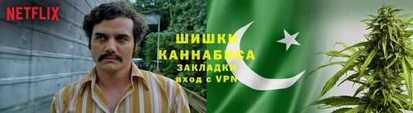 индика Балахна