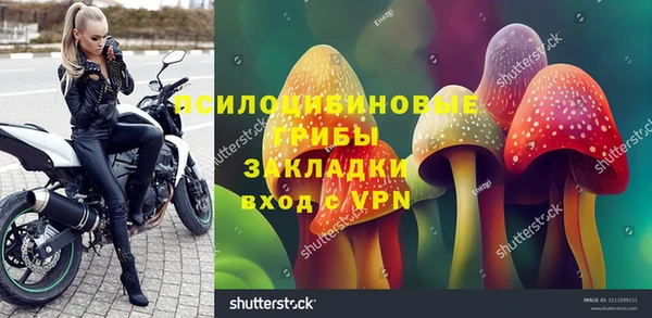 индика Балахна
